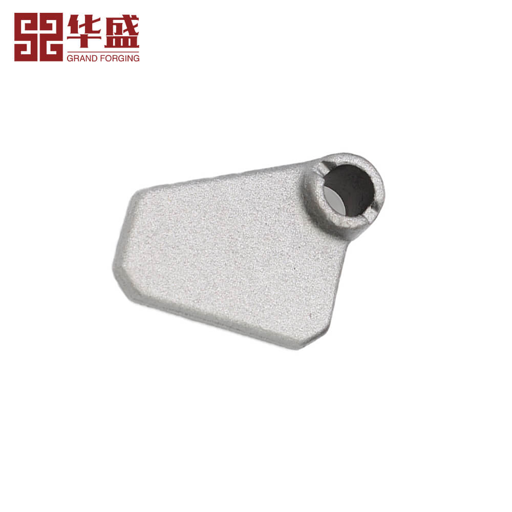 OEM Carbon Steel Galvanized Cargo Die Forged Forging Parts​
