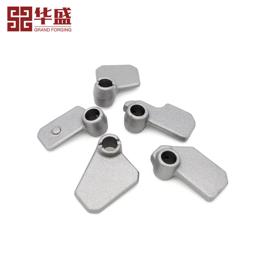 OEM Carbon Steel Galvanized Cargo Die Forged Forging Parts​